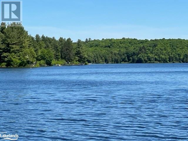 2226 Brady Lake Road, Minden, Ontario  K0M 2K0 - Photo 11 - 40598595