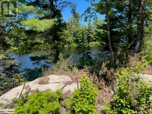 2226 Brady Lake Road, Minden, Ontario  K0M 2K0 - Photo 12 - 40598595