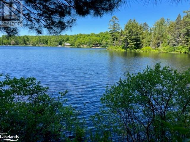2226 Brady Lake Road, Minden, Ontario  K0M 2K0 - Photo 2 - 40598595