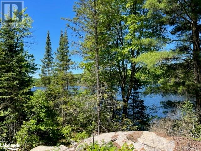 2226 Brady Lake Road, Minden, Ontario  K0M 2K0 - Photo 3 - 40598595