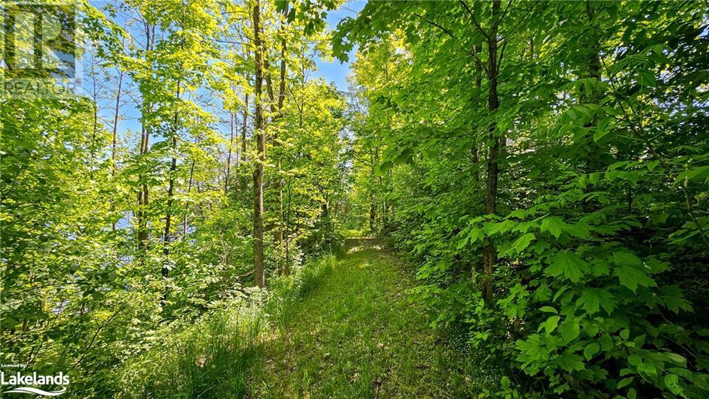 1018 Cove Road Unit# 7, Utterson, Ontario  P0B 1J0 - Photo 25 - 40598317