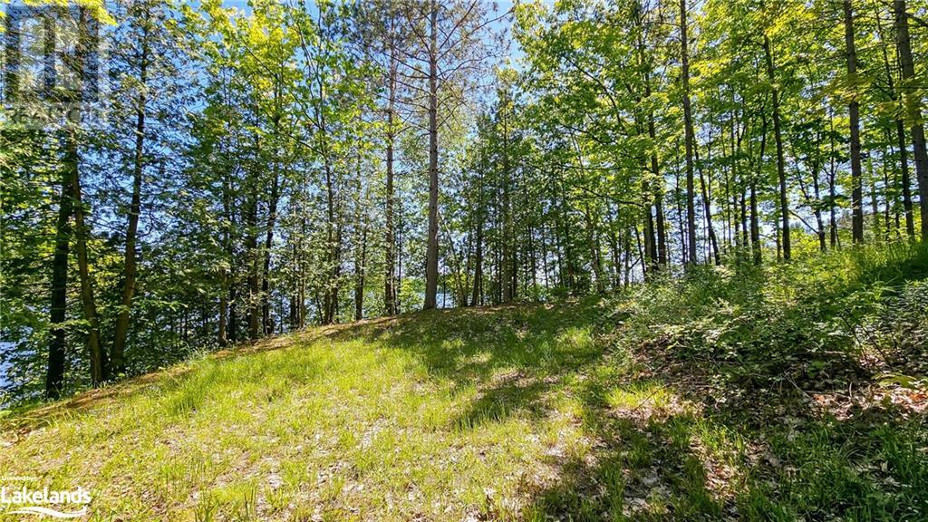 1018 Cove Road Unit# 7, Utterson, Ontario  P0B 1J0 - Photo 27 - 40598317