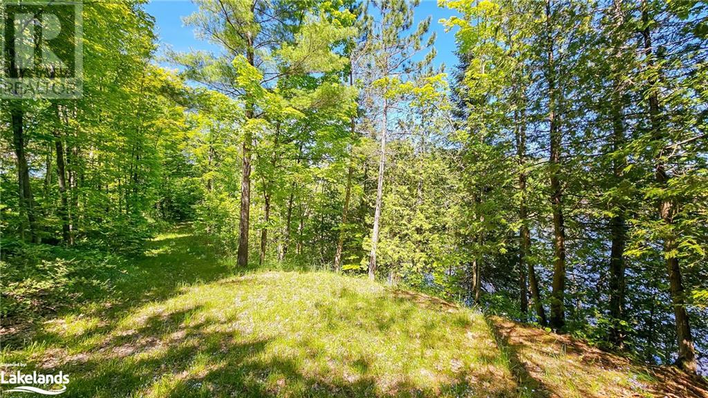 1018 Cove Road Unit# 7, Utterson, Ontario  P0B 1J0 - Photo 28 - 40598317