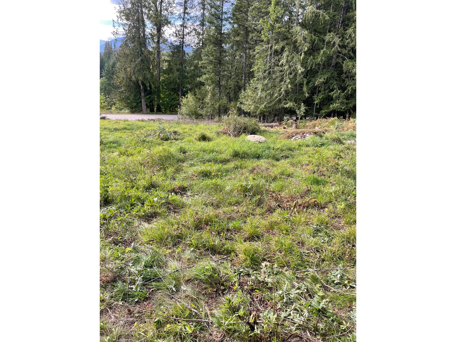Lot 31 Crawford  Creek Road, Crawford Bay, British Columbia  V0B 1X0 - Photo 6 - 2477340
