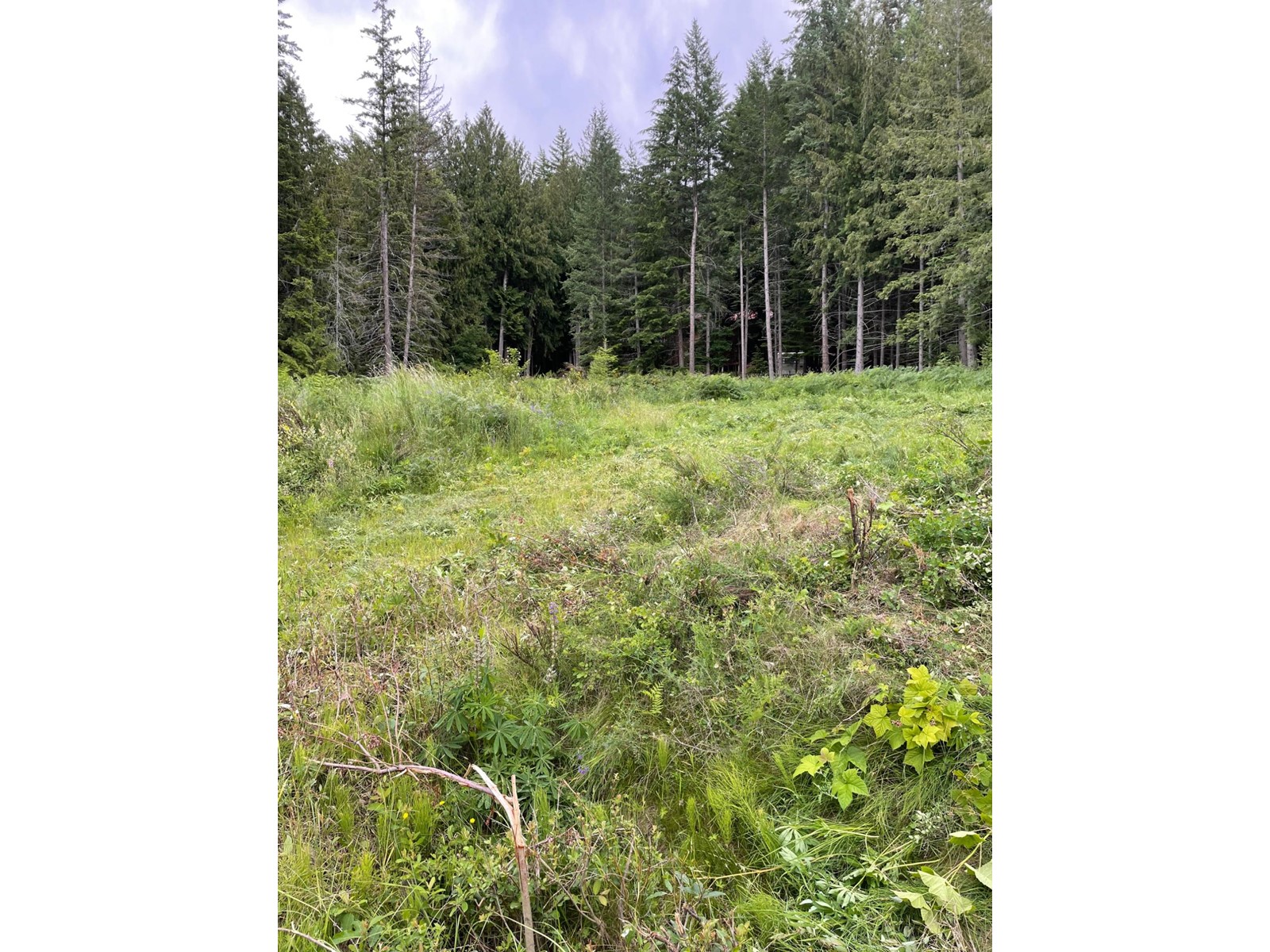 Lot 31 Crawford  Creek Road, Crawford Bay, British Columbia  V0B 1X0 - Photo 9 - 2477340