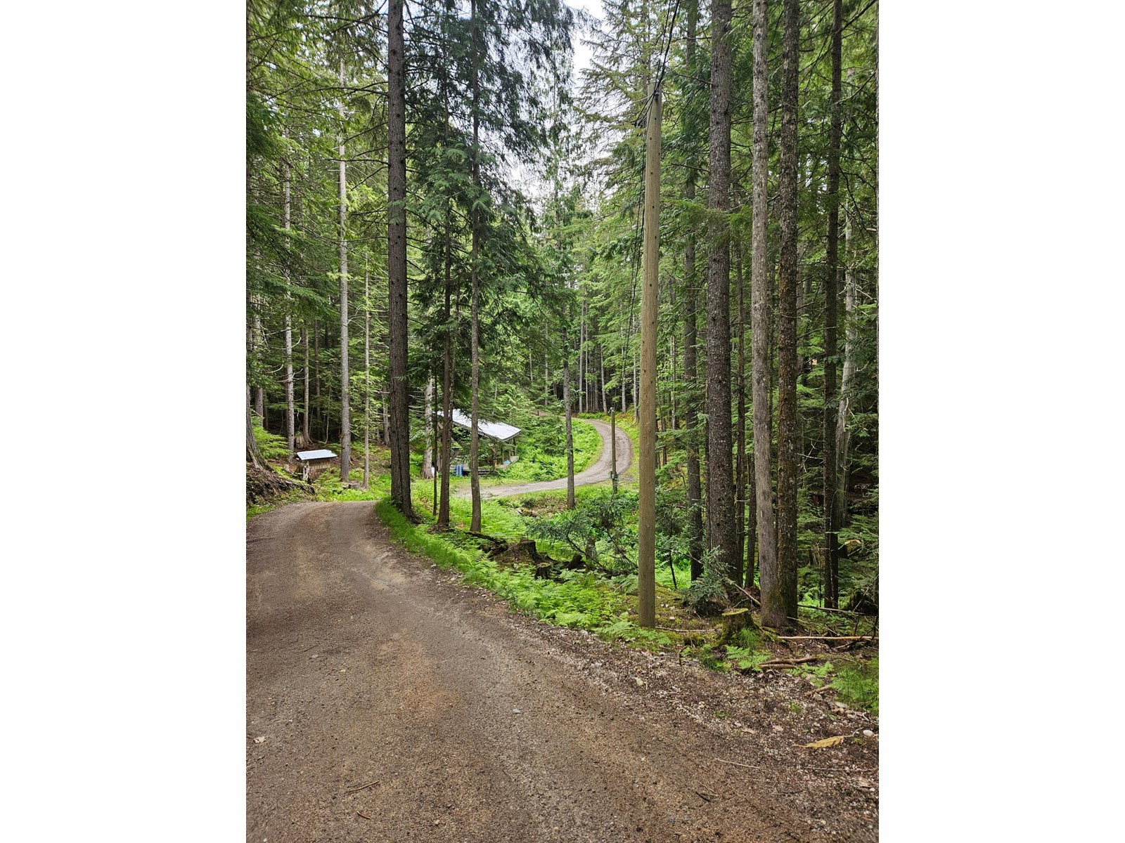 769 Beech Road, Nakusp, British Columbia  V0G 1R1 - Photo 2 - 2477359