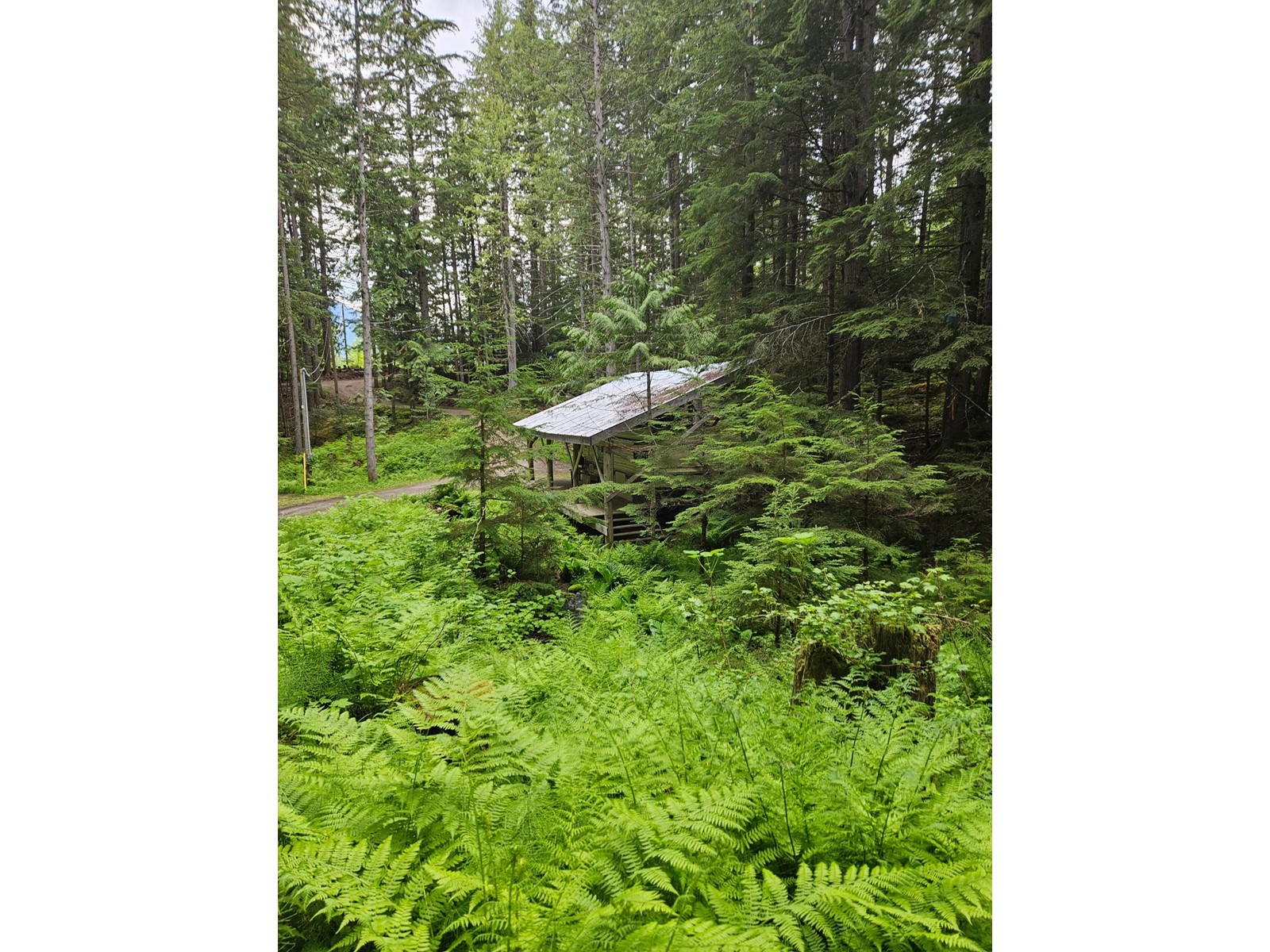 769 Beech Road, Nakusp, British Columbia  V0G 1R1 - Photo 4 - 2477359