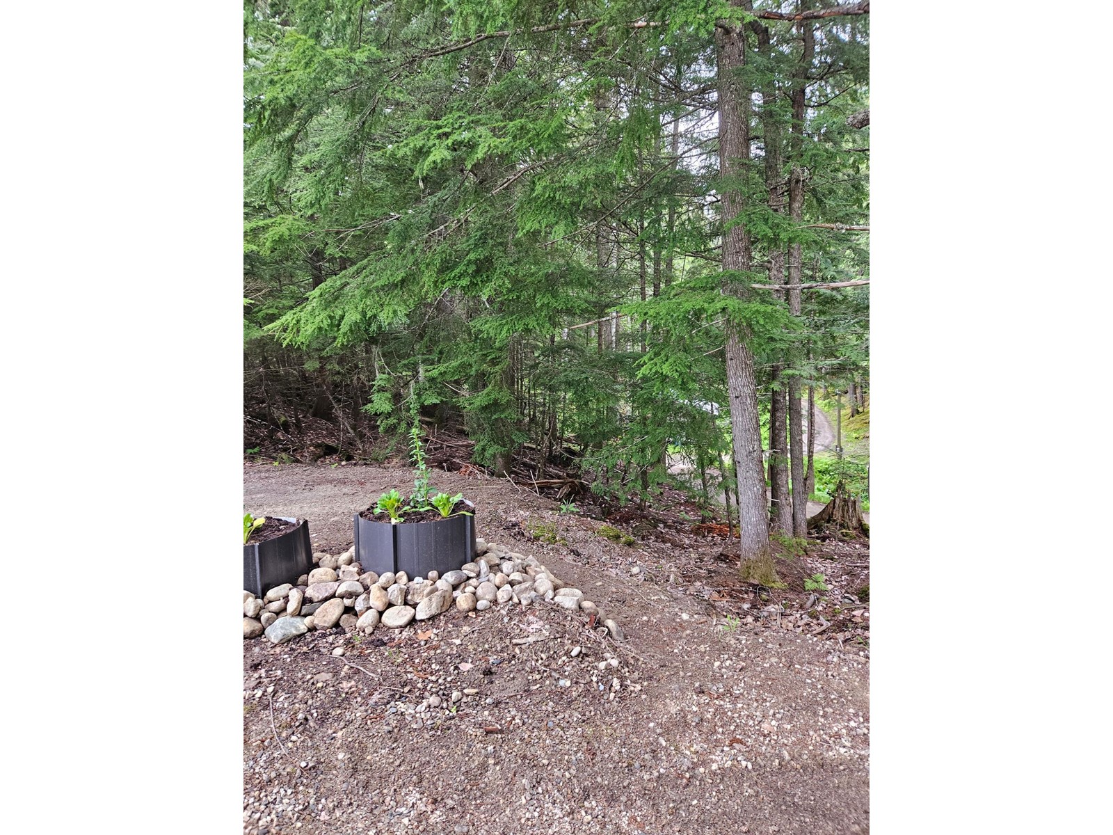 769 Beech Road, Nakusp, British Columbia  V0G 1R1 - Photo 7 - 2477359