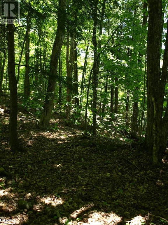 0 Pocket Trail, Minden Hills, Ontario  K0M 2L1 - Photo 8 - 40596119