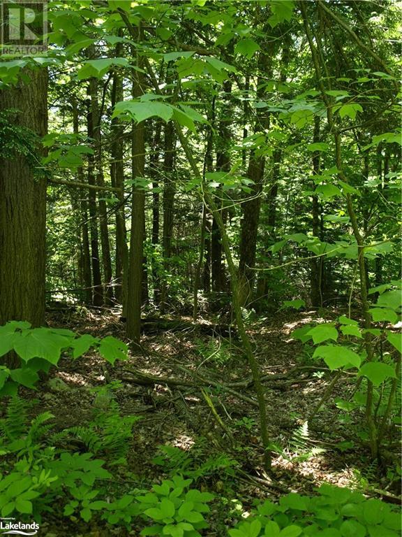 0 Pocket Trail, Minden Hills, Ontario  K0M 2L1 - Photo 6 - 40596119