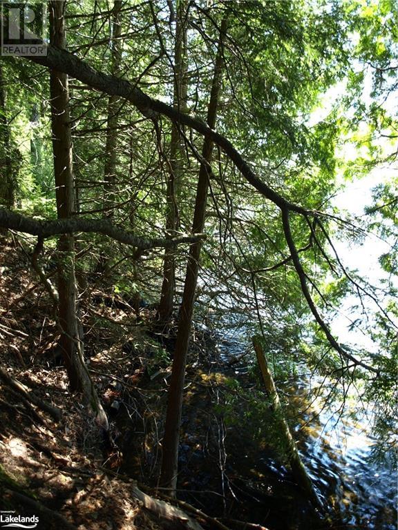 0 Pocket Trail, Minden Hills, Ontario  K0M 2L1 - Photo 4 - 40596119