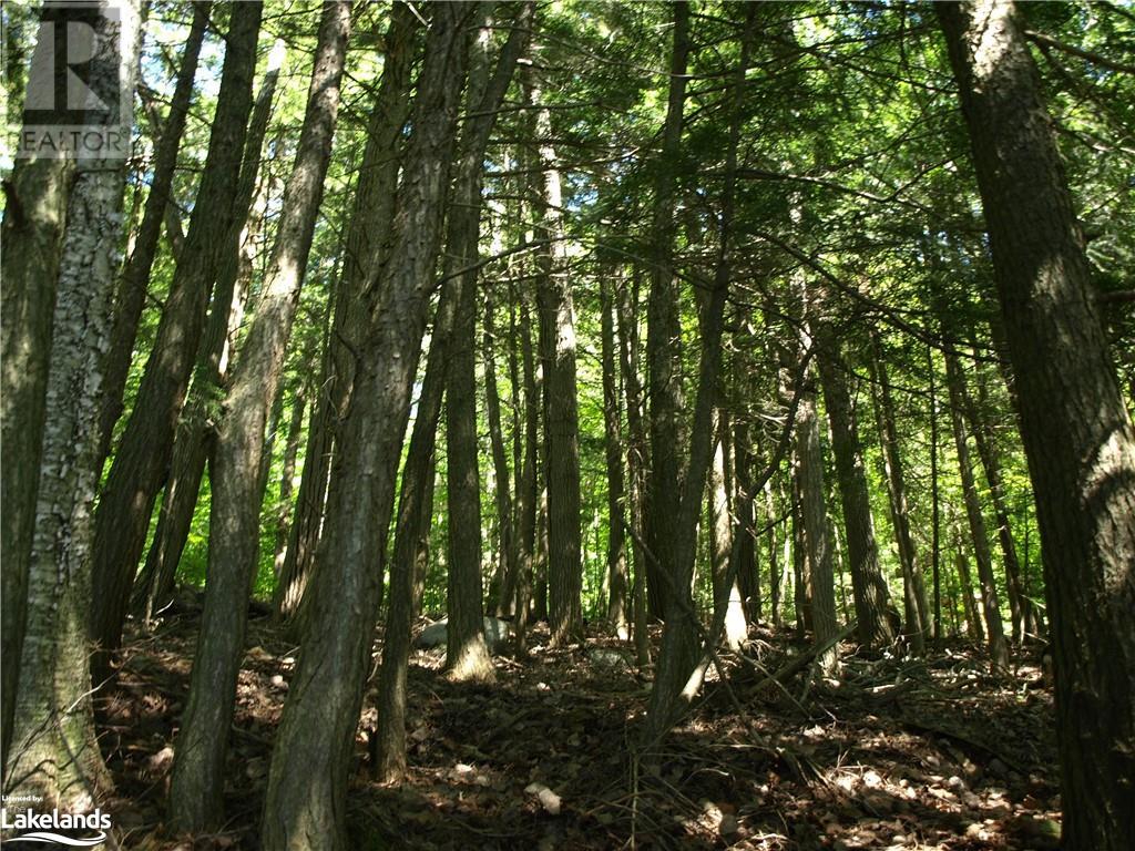 0 Pocket Trail, Minden Hills, Ontario  K0M 2L1 - Photo 5 - 40596119