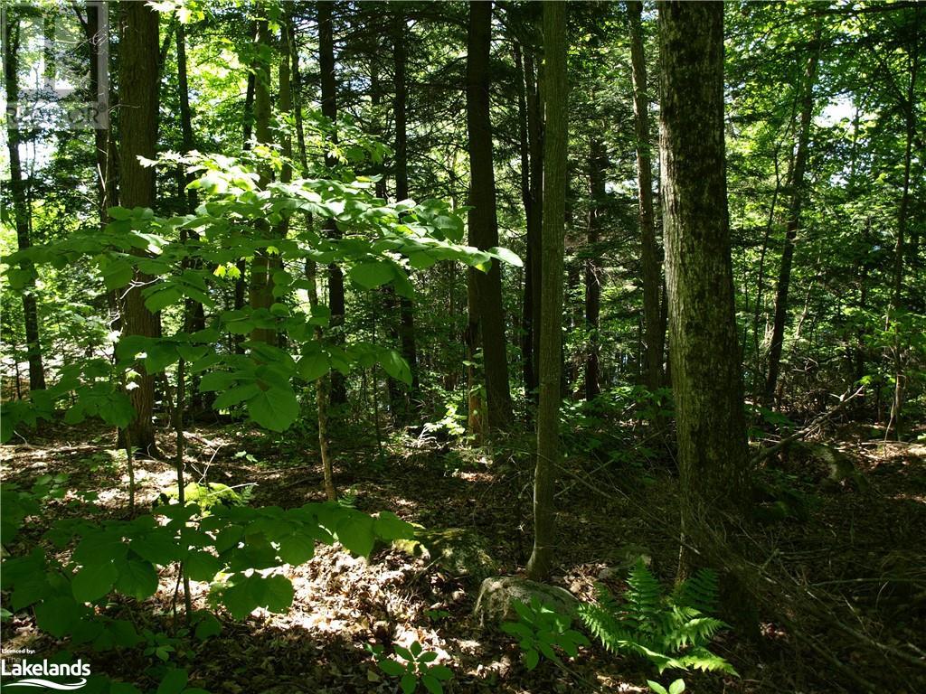 0 Pocket Trail, Minden Hills, Ontario  K0M 2L1 - Photo 7 - 40596119