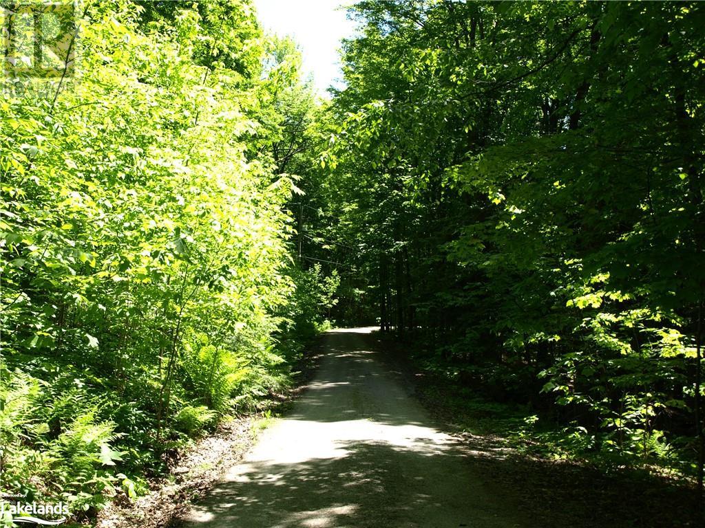 0 Pocket Trail, Minden Hills, Ontario  K0M 2L1 - Photo 2 - 40596119