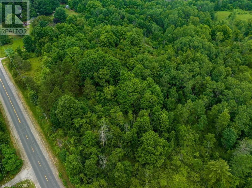 Pt Lt 4-5 Perth Road, Westport, Ontario  K0G 1X0 - Photo 10 - 40598486