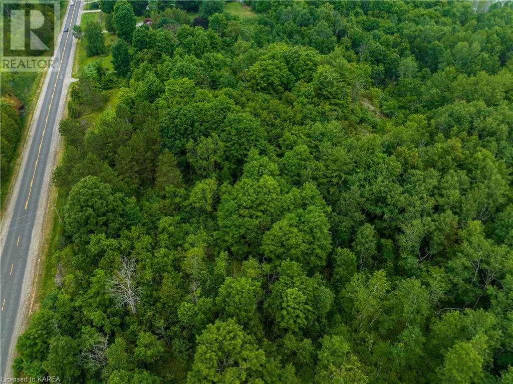 Pt Lt 4-5 Perth Road, Westport, Ontario  K0G 1X0 - Photo 12 - 40598486