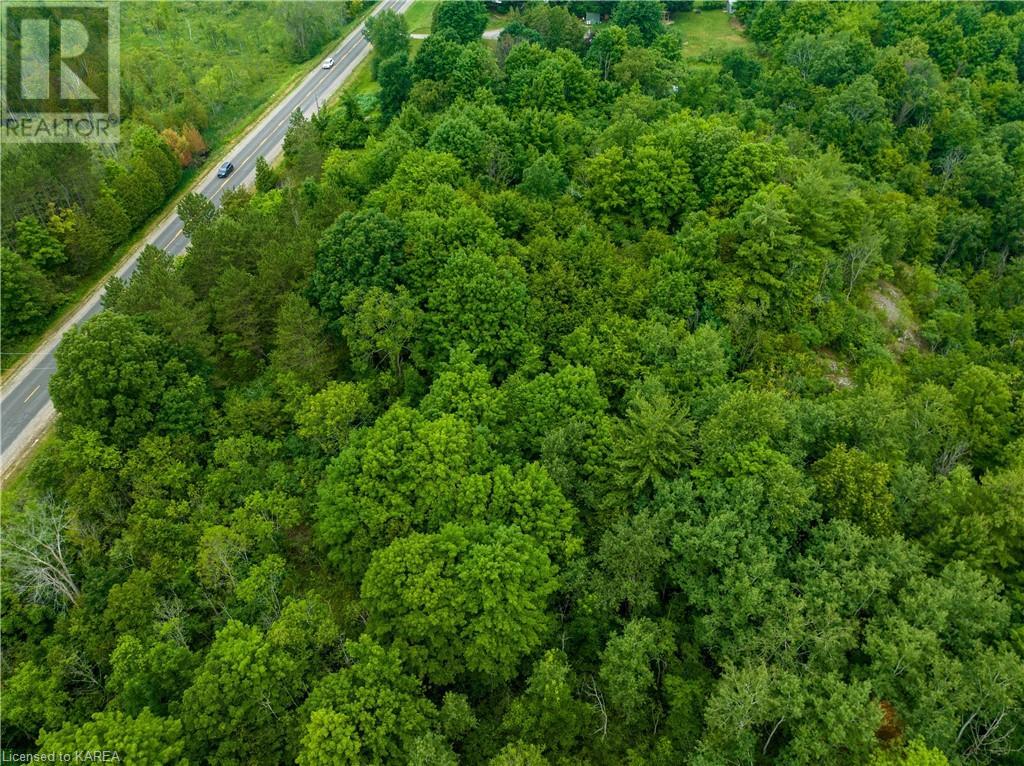 Pt Lt 4-5 Perth Road, Westport, Ontario  K0G 1X0 - Photo 13 - 40598486