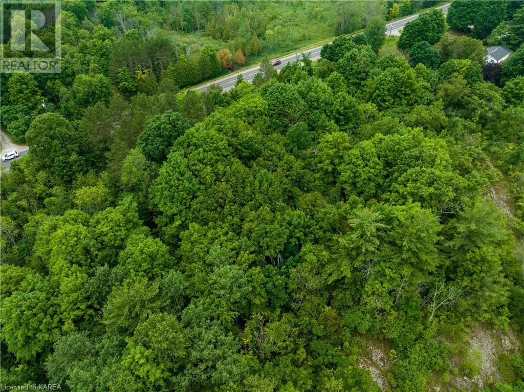 Pt Lt 4-5 Perth Road, Westport, Ontario  K0G 1X0 - Photo 14 - 40598486