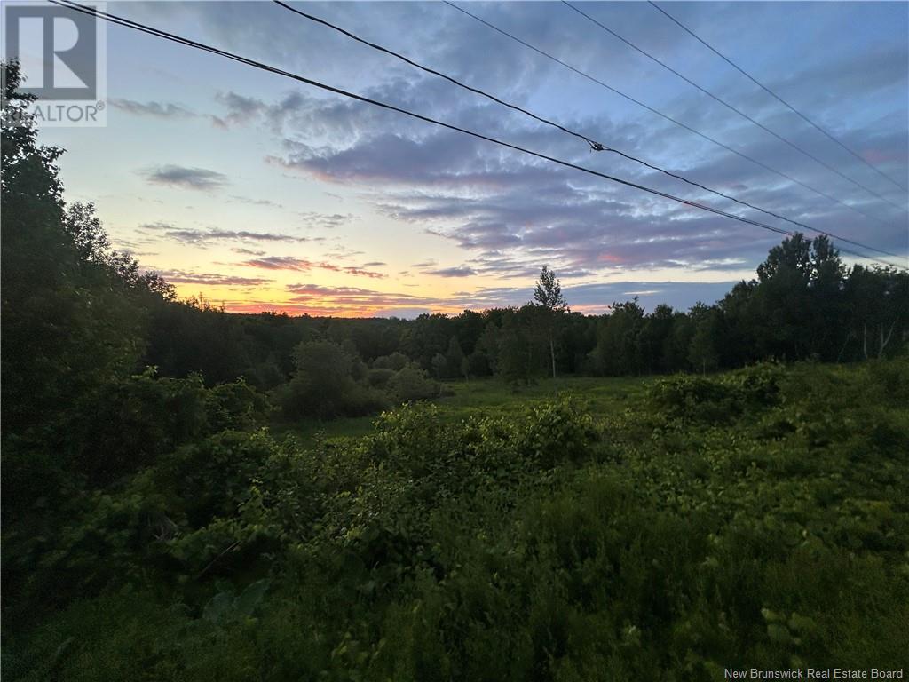 Route 105, Mckenna, New Brunswick  E7N 1T9 - Photo 3 - NB101064