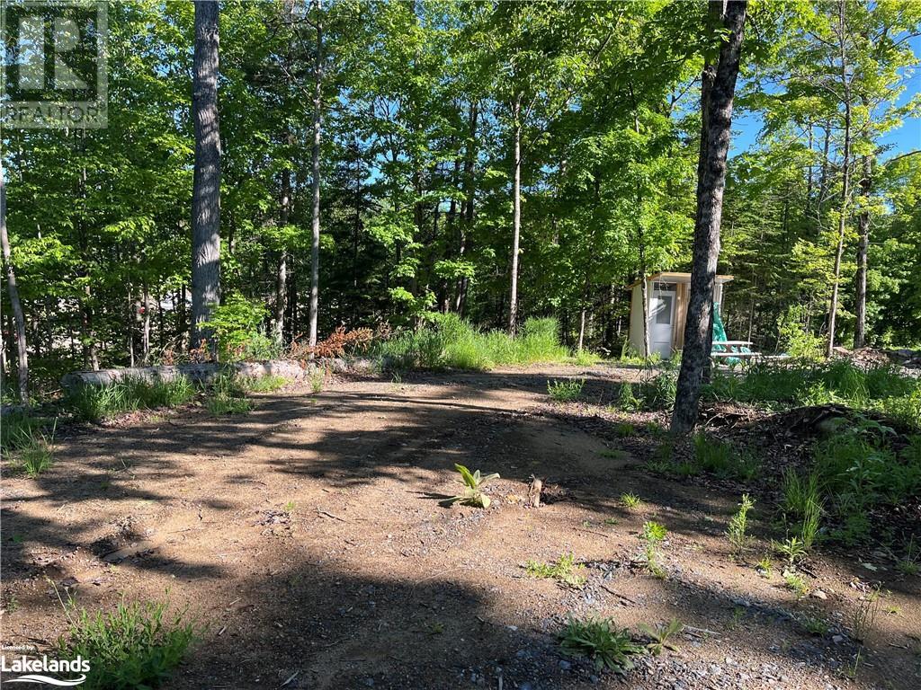 0 Ravine Road, Minden, Ontario  K0M 2K0 - Photo 3 - 40598823