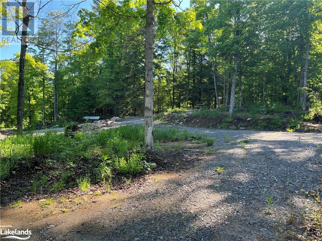 0 Ravine Road, Minden, Ontario  K0M 2K0 - Photo 4 - 40598823