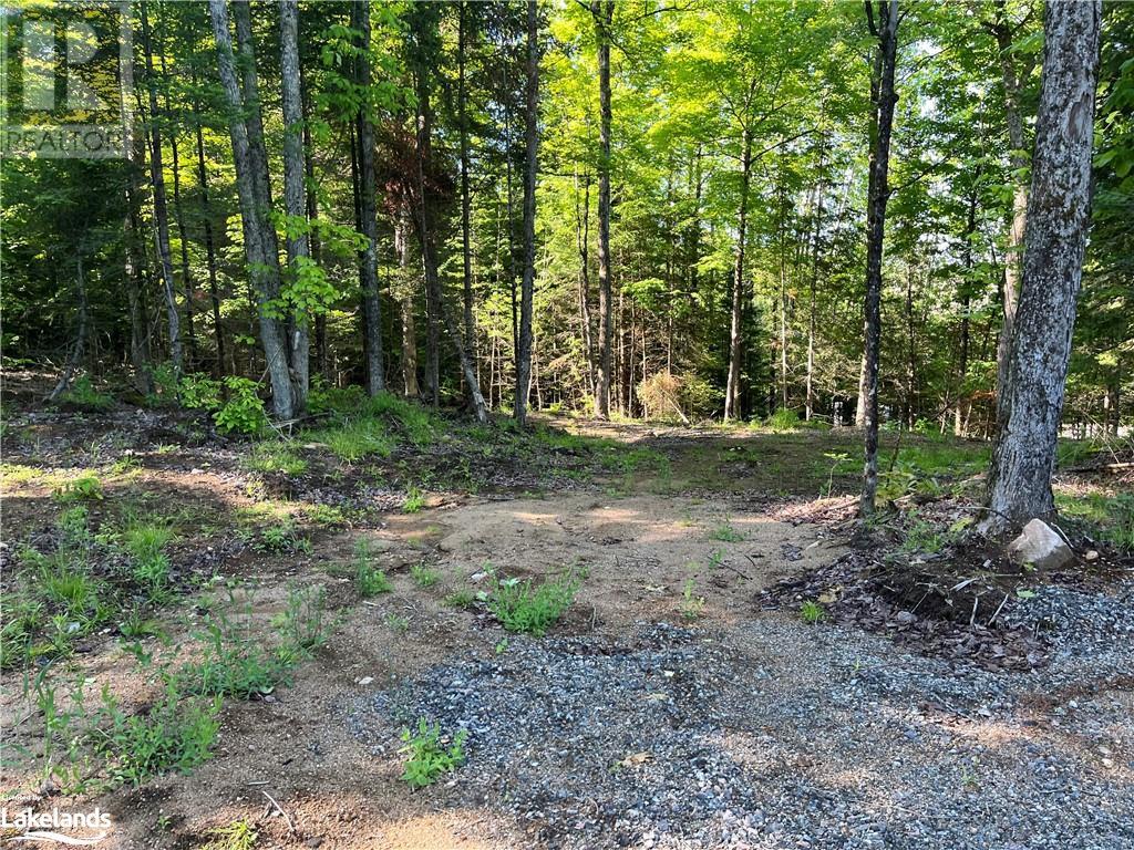 0 Ravine Road, Minden, Ontario  K0M 2K0 - Photo 7 - 40598823