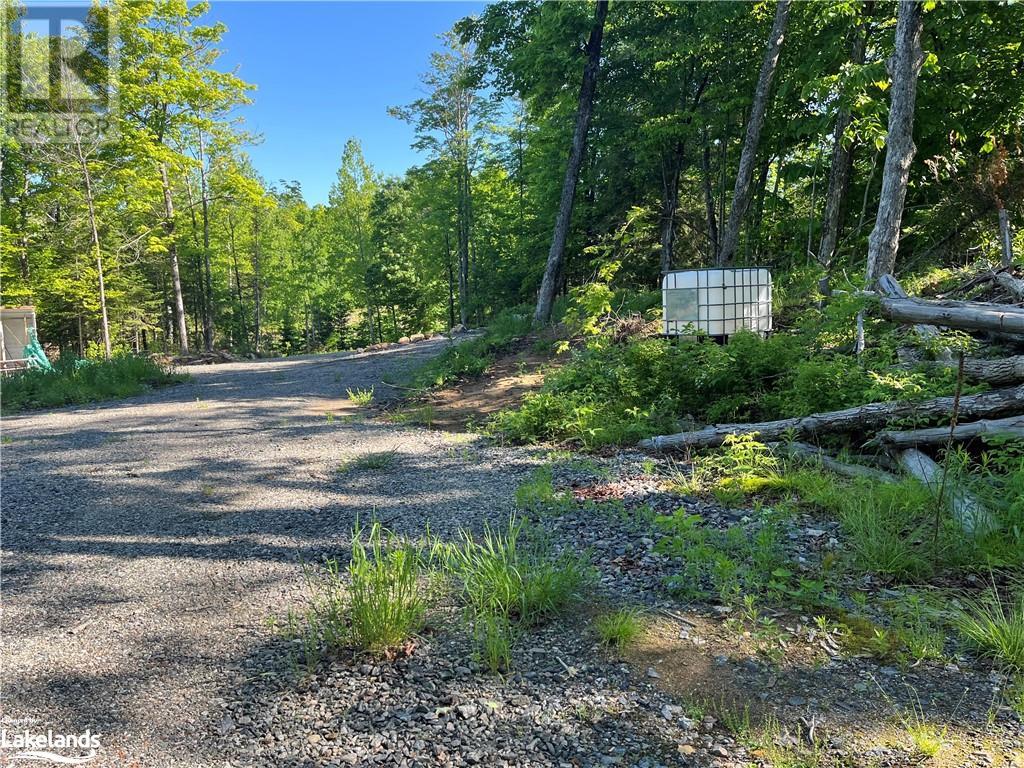 0 Ravine Road, Minden, Ontario  K0M 2K0 - Photo 8 - 40598823