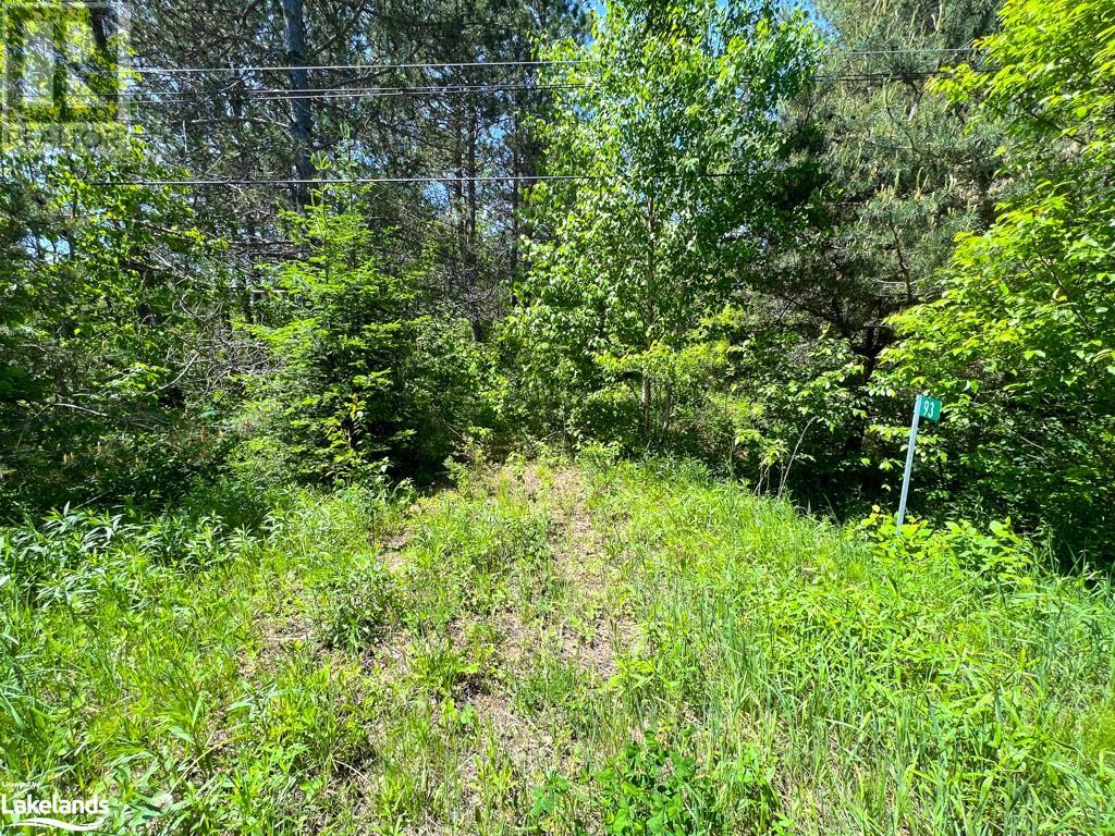 93 Gibson Bay Road, Dunchurch, Ontario  P0A 1G0 - Photo 12 - 40597423