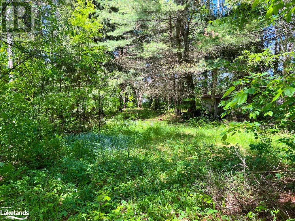93 Gibson Bay Road, Dunchurch, Ontario  P0A 1G0 - Photo 13 - 40597423
