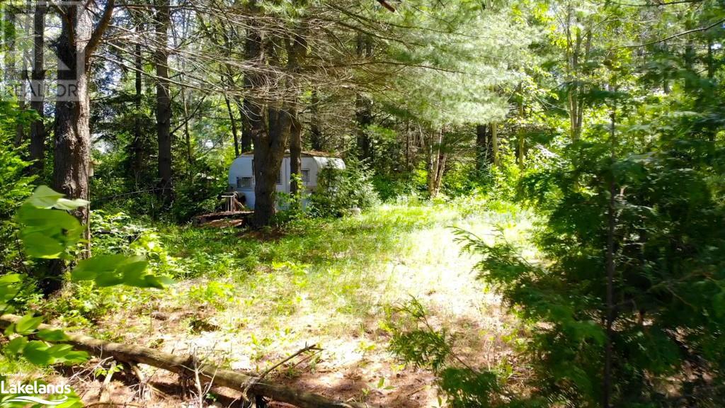 93 Gibson Bay Road, Dunchurch, Ontario  P0A 1G0 - Photo 8 - 40597423