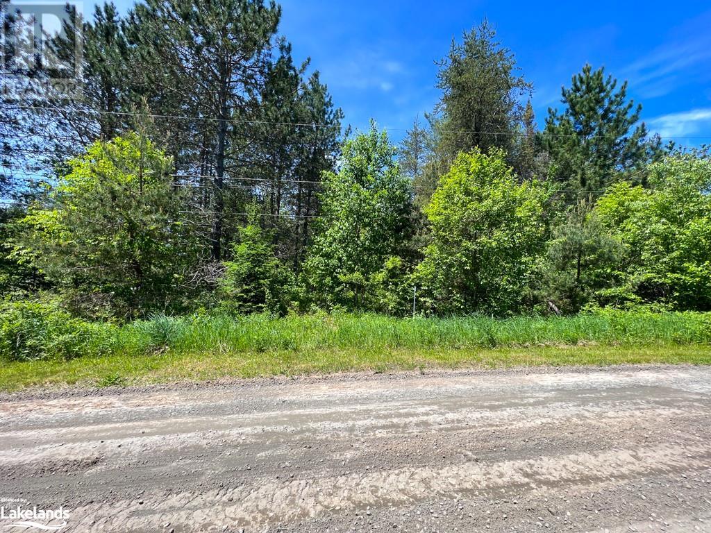 93 Gibson Bay Road, Dunchurch, Ontario  P0A 1G0 - Photo 11 - 40597423