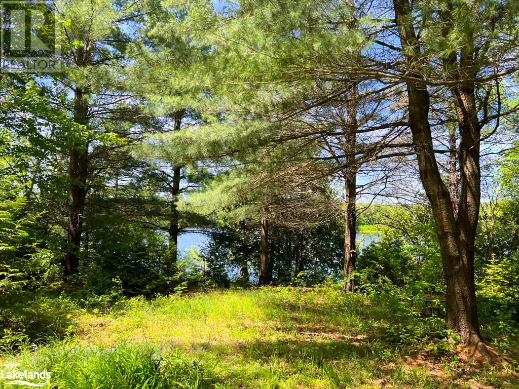 93 Gibson Bay Road, Dunchurch, Ontario  P0A 1G0 - Photo 17 - 40597423