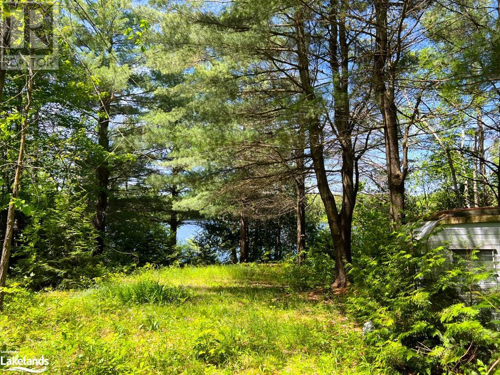 93 Gibson Bay Road, Dunchurch, Ontario  P0A 1G0 - Photo 16 - 40597423