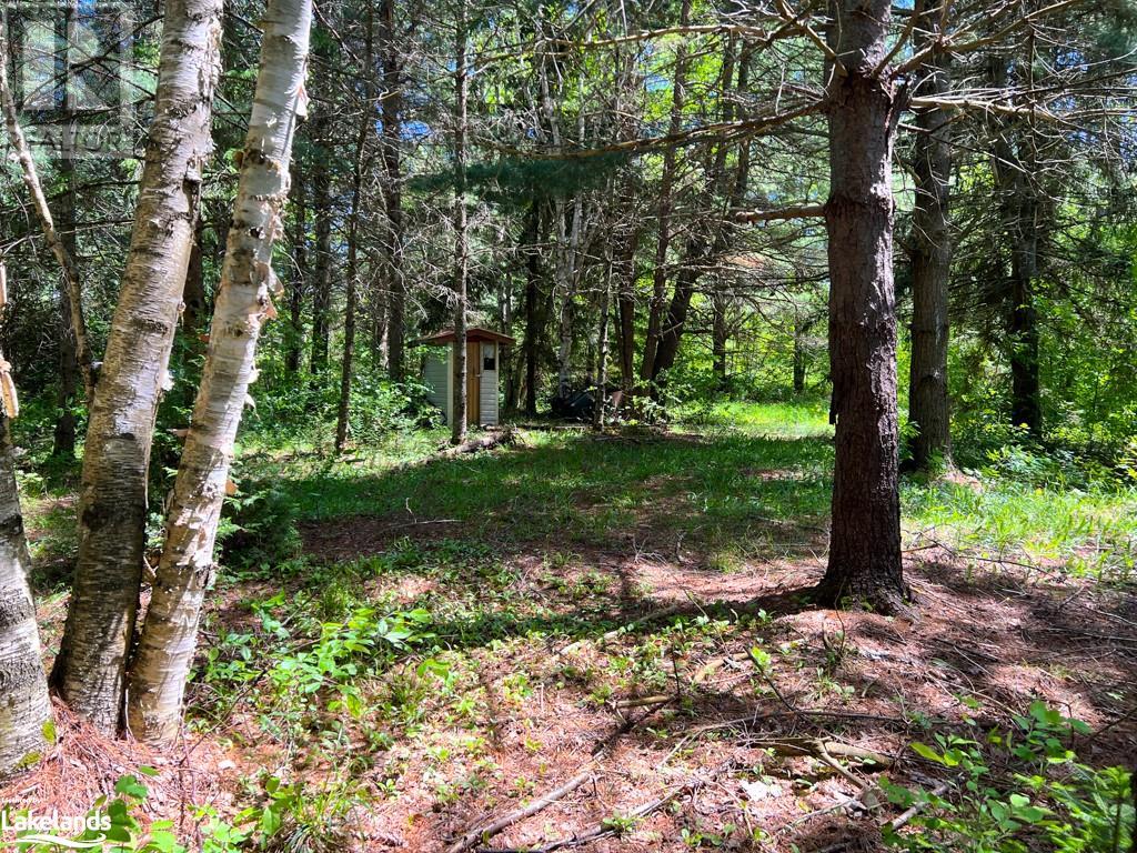 93 Gibson Bay Road, Dunchurch, Ontario  P0A 1G0 - Photo 15 - 40597423