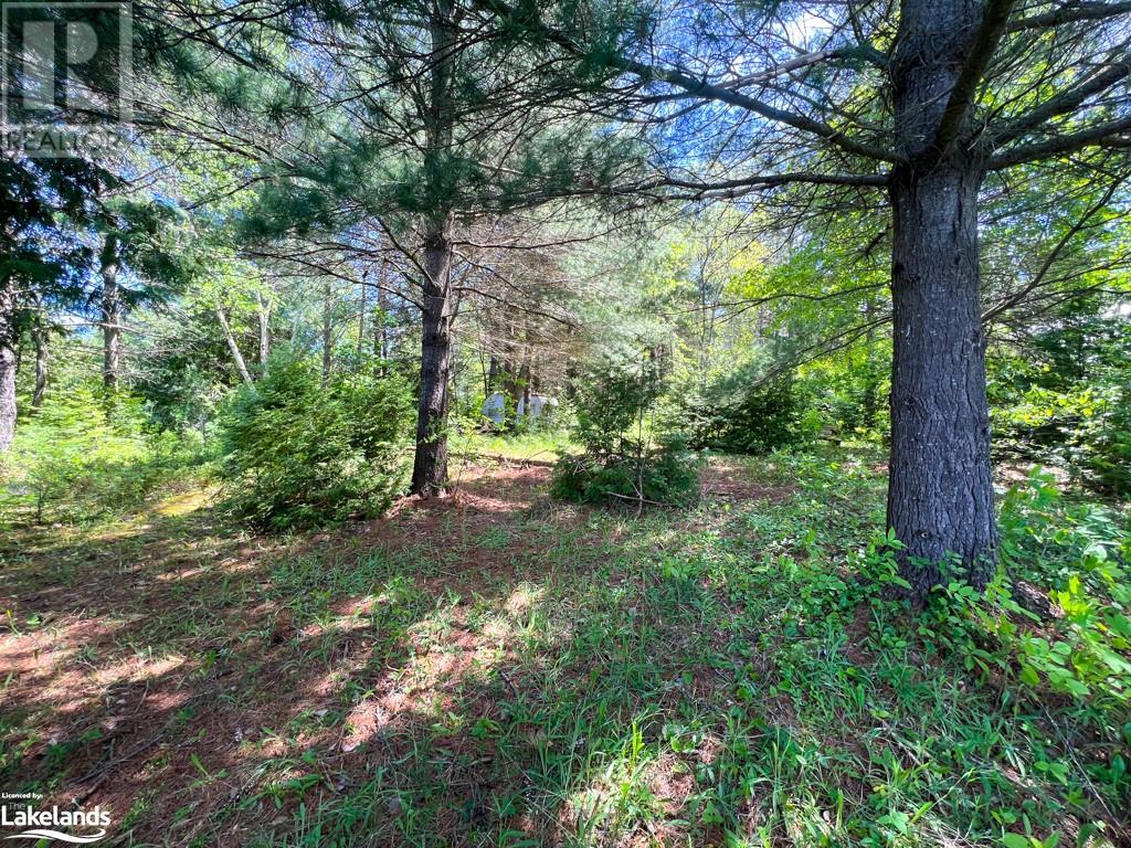 93 Gibson Bay Road, Dunchurch, Ontario  P0A 1G0 - Photo 19 - 40597423