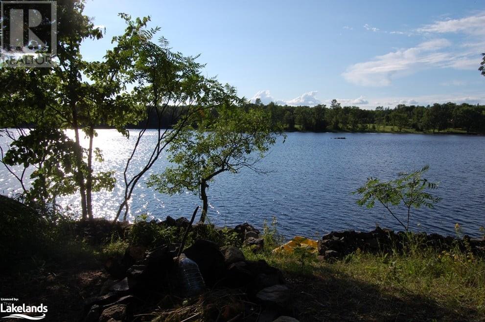 93 Gibson Bay Road, Dunchurch, Ontario  P0A 1G0 - Photo 21 - 40597423