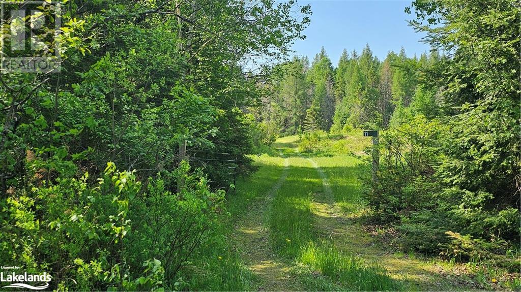 11 Barton Road, Magnetawan, Ontario  P0A 1P0 - Photo 2 - 40598556