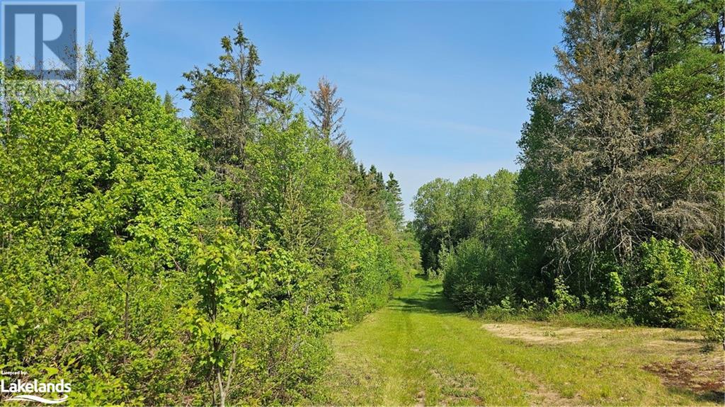11 Barton Road, Magnetawan, Ontario  P0A 1P0 - Photo 3 - 40598556