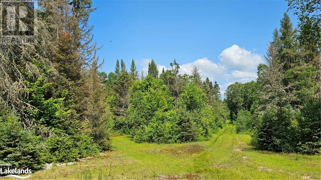 11 Barton Road, Magnetawan, Ontario  P0A 1P0 - Photo 4 - 40598556