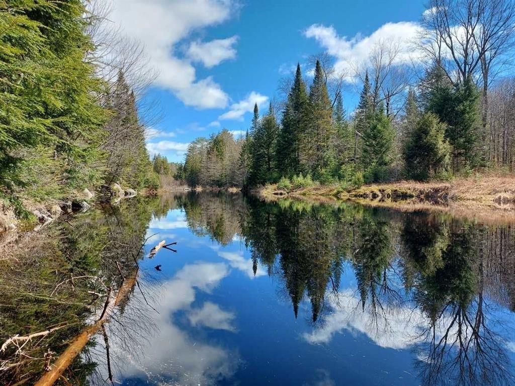 1759 Yearly Road, Sprucedale, Ontario P0A 1Y0 (26975530) The Kate