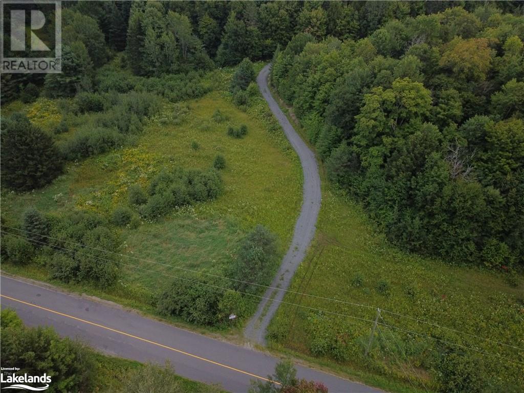 1275 Beatrice Townline Road, Bracebridge, Ontario  P1L 1X4 - Photo 9 - 40595095