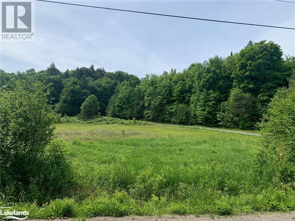 1275 Beatrice Townline Road, Bracebridge, Ontario  P1L 1X4 - Photo 5 - 40595095