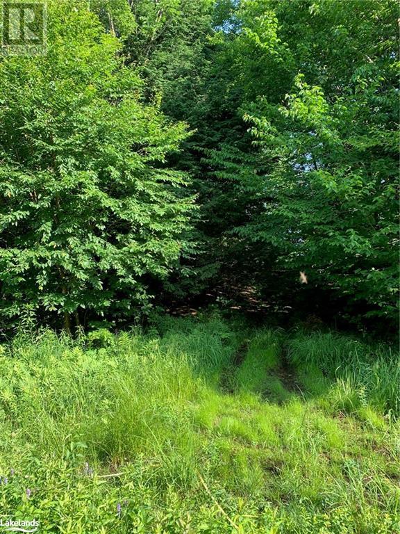 1275 Beatrice Townline Road, Bracebridge, Ontario  P1L 1X4 - Photo 22 - 40595095