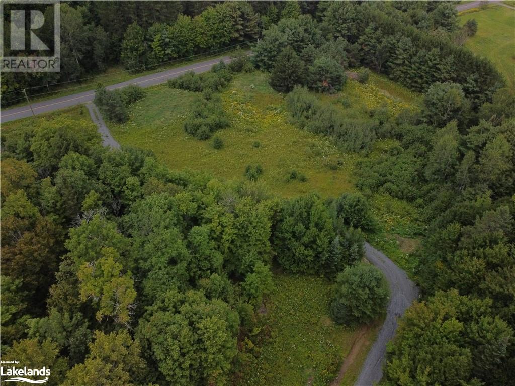 1275 Beatrice Townline Road, Bracebridge, Ontario  P1L 1X4 - Photo 6 - 40595095