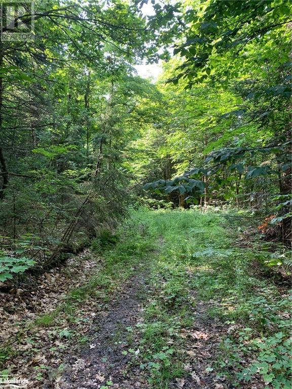 1275 Beatrice Townline Road, Bracebridge, Ontario  P1L 1X4 - Photo 23 - 40595095