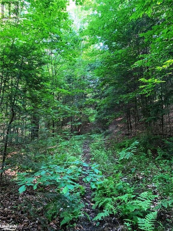 1275 Beatrice Townline Road, Bracebridge, Ontario  P1L 1X4 - Photo 24 - 40595095