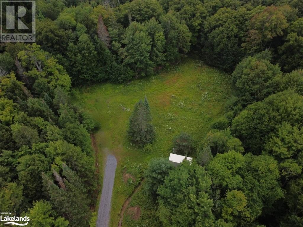 1275 Beatrice Townline Road, Bracebridge, Ontario  P1L 1X4 - Photo 11 - 40595095