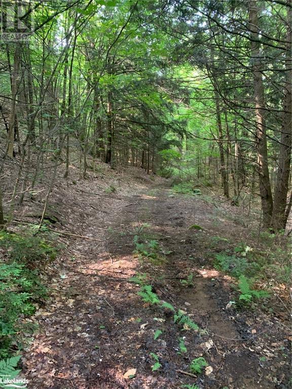 1275 Beatrice Townline Road, Bracebridge, Ontario  P1L 1X4 - Photo 26 - 40595095