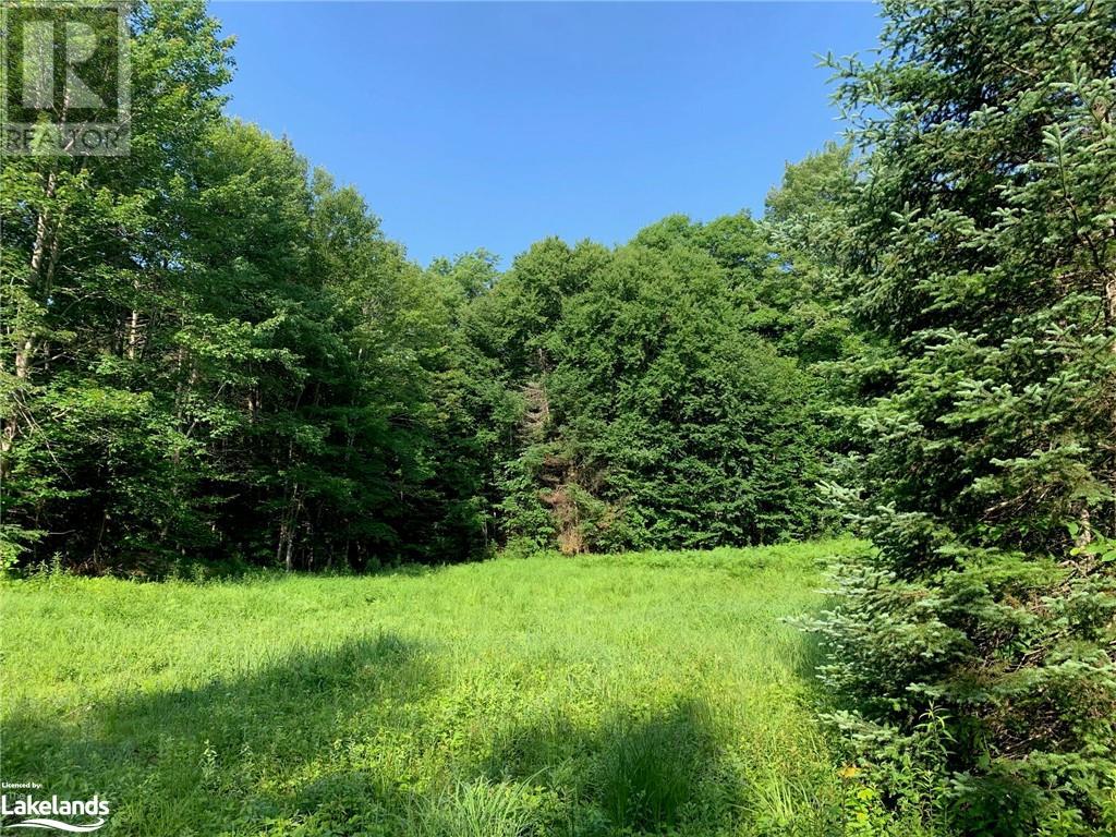 1275 Beatrice Townline Road, Bracebridge, Ontario  P1L 1X4 - Photo 14 - 40595095
