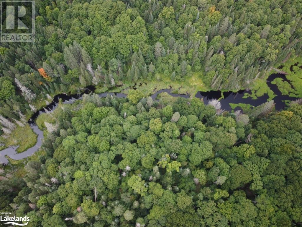 1275 Beatrice Townline Road, Bracebridge, Ontario  P1L 1X4 - Photo 34 - 40595095